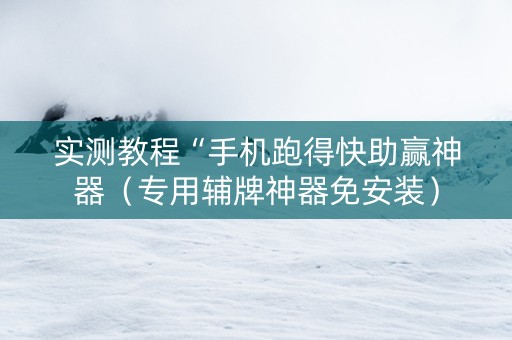 实测教程“手机跑得快助赢神器（专用辅牌神器免安装）