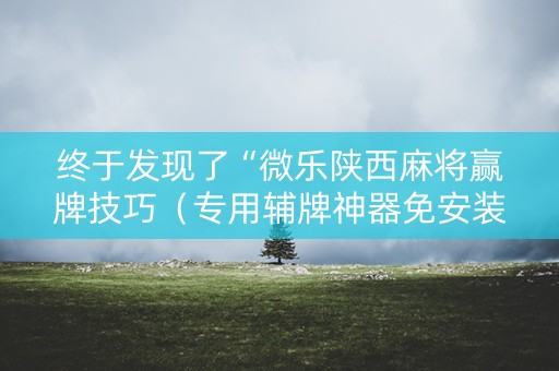终于发现了“微乐陕西麻将赢牌技巧（专用辅牌神器免安装）