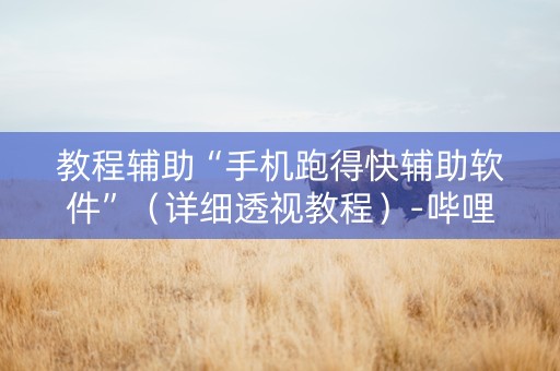 教程辅助“手机跑得快辅助软件”（详细透视教程）-哔哩哔哩