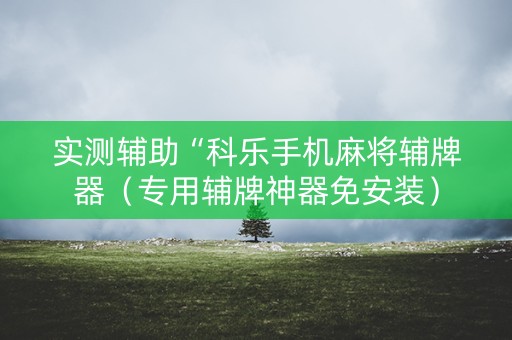 实测辅助“科乐手机麻将辅牌器（专用辅牌神器免安装）