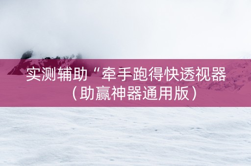 实测辅助“牵手跑得快透视器（助赢神器通用版）