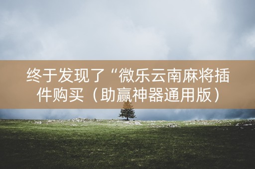 终于发现了“微乐云南麻将插件购买（助赢神器通用版）