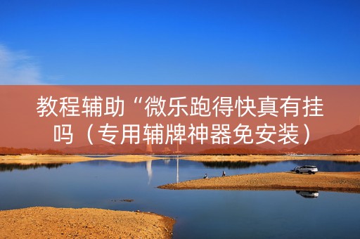 教程辅助“微乐跑得快真有挂吗（专用辅牌神器免安装）