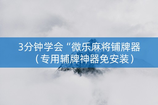 3分钟学会“微乐麻将铺牌器（专用辅牌神器免安装）