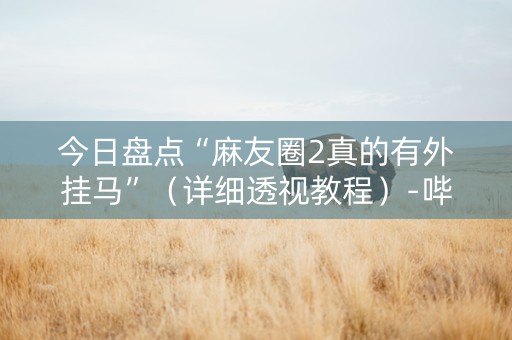 今日盘点“麻友圈2真的有外挂马”（详细透视教程）-哔哩哔哩