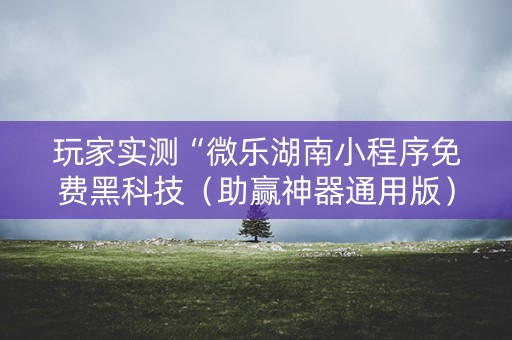 玩家实测“微乐湖南小程序免费黑科技（助赢神器通用版）