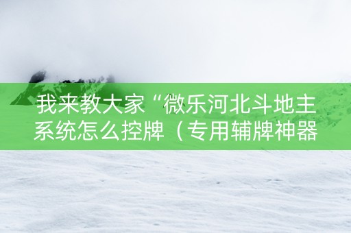 我来教大家“微乐河北斗地主系统怎么控牌（专用辅牌神器免安装）