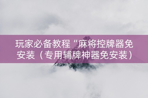 玩家必备教程“麻将控牌器免安装（专用辅牌神器免安装）