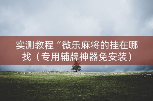 实测教程“微乐麻将的挂在哪找（专用辅牌神器免安装）