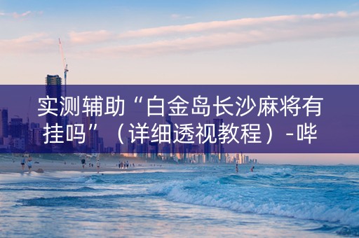 实测辅助“白金岛长沙麻将有挂吗”（详细透视教程）-哔哩哔哩