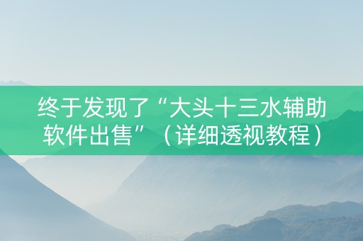 终于发现了“大头十三水辅助软件出售”（详细透视教程）-哔哩哔哩