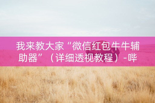 我来教大家“微信红包牛牛辅助器”（详细透视教程）-哔哩哔哩