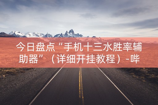 今日盘点“手机十三水胜率辅助器”（详细开挂教程）-哔哩哔哩