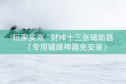 玩家实测“财神十三张辅助器（专用辅牌神器免安装）