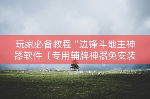 玩家必备教程“边锋斗地主神器软件（专用辅牌神器免安装）