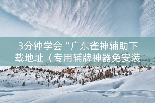 3分钟学会“广东雀神辅助下载地址（专用辅牌神器免安装）