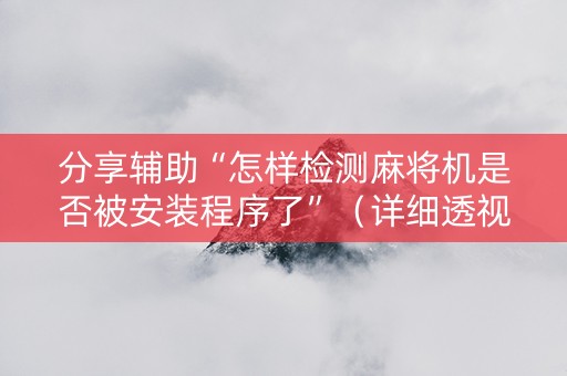 分享辅助“怎样检测麻将机是否被安装程序了”（详细透视教程）-哔哩哔哩