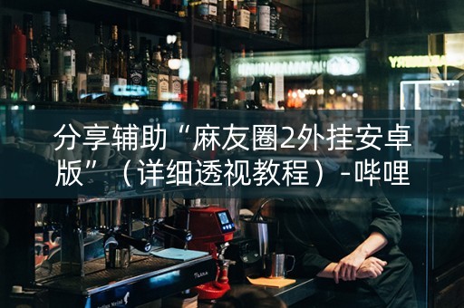 分享辅助“麻友圈2外挂安卓版”（详细透视教程）-哔哩哔哩