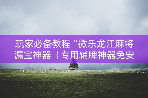 玩家必备教程“微乐龙江麻将漏宝神器（专用辅牌神器免安装）