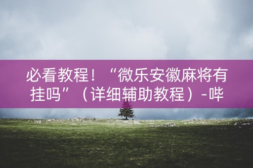 必看教程！“微乐安徽麻将有挂吗”（详细辅助教程）-哔哩哔哩