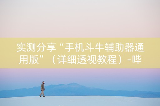 实测分享“手机斗牛辅助器通用版”（详细透视教程）-哔哩哔哩