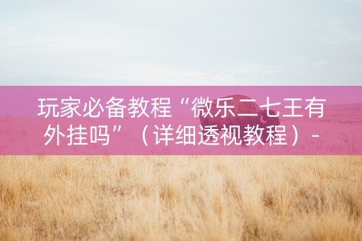玩家必备教程“微乐二七王有外挂吗”（详细透视教程）-哔哩哔哩