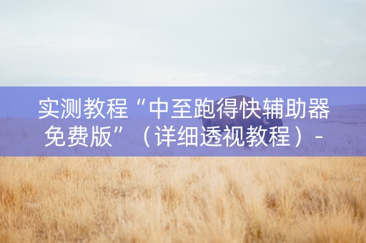 实测教程“中至跑得快辅助器免费版”（详细透视教程）-哔哩哔哩