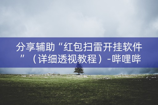 分享辅助“红包扫雷开挂软件 ”（详细透视教程）-哔哩哔哩