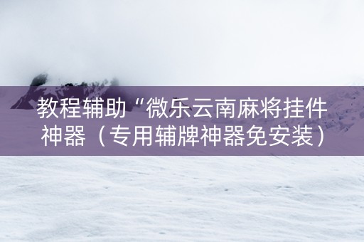 教程辅助“微乐云南麻将挂件神器（专用辅牌神器免安装）