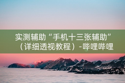 实测辅助“手机十三张辅助”（详细透视教程）-哔哩哔哩