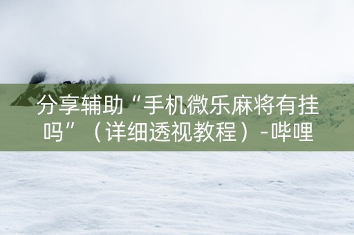 分享辅助“手机微乐麻将有挂吗”（详细透视教程）-哔哩哔哩