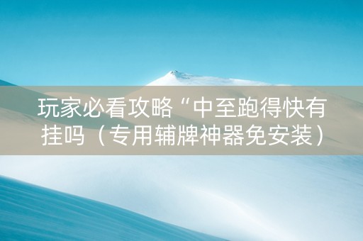 玩家必看攻略“中至跑得快有挂吗（专用辅牌神器免安装）