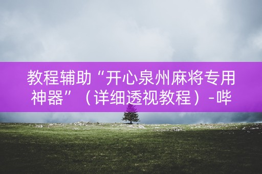 教程辅助“开心泉州麻将专用神器”（详细透视教程）-哔哩哔哩