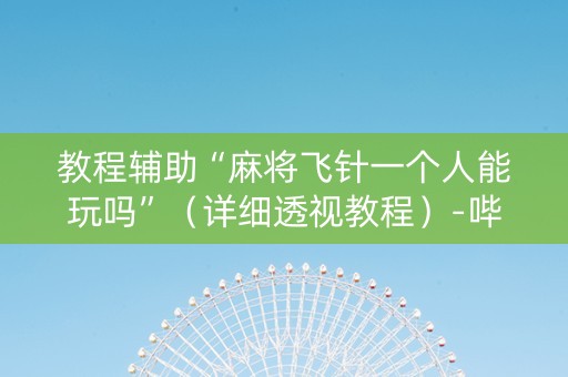 教程辅助“麻将飞针一个人能玩吗”（详细透视教程）-哔哩哔哩