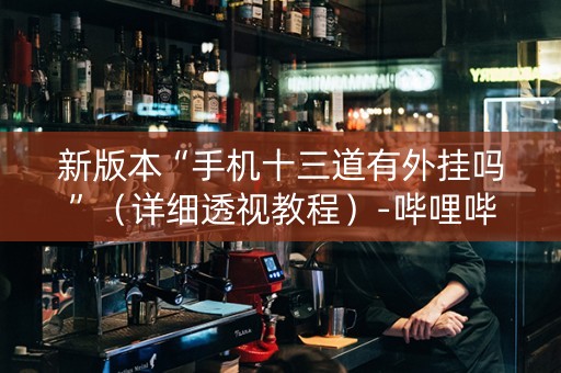 新版本“手机十三道有外挂吗”（详细透视教程）-哔哩哔哩