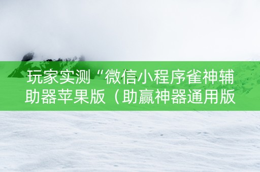 玩家实测“微信小程序雀神辅助器苹果版（助赢神器通用版）