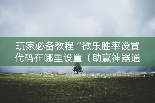 玩家必备教程“微乐胜率设置代码在哪里设置（助赢神器通用版）