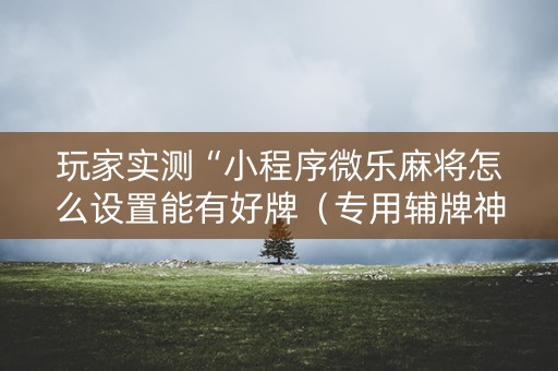 玩家实测“小程序微乐麻将怎么设置能有好牌（专用辅牌神器免安装）