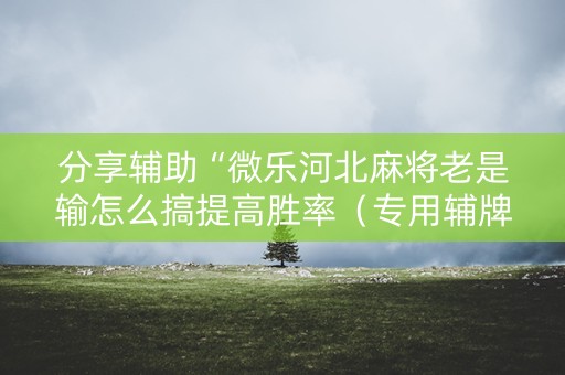 分享辅助“微乐河北麻将老是输怎么搞提高胜率（专用辅牌神器免安装）