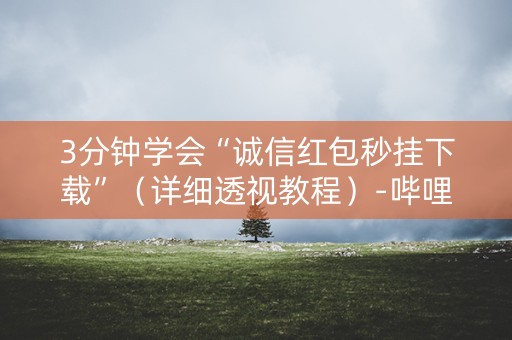 3分钟学会“诚信红包秒挂下载”（详细透视教程）-哔哩哔哩