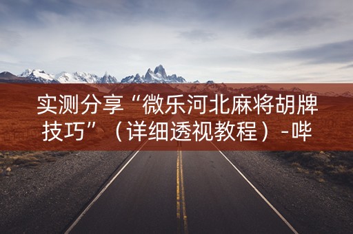 实测分享“微乐河北麻将胡牌技巧”（详细透视教程）-哔哩哔哩