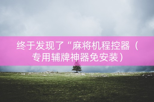 终于发现了“麻将机程控器（专用辅牌神器免安装）
