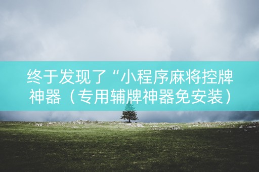 终于发现了“小程序麻将控牌神器（专用辅牌神器免安装）