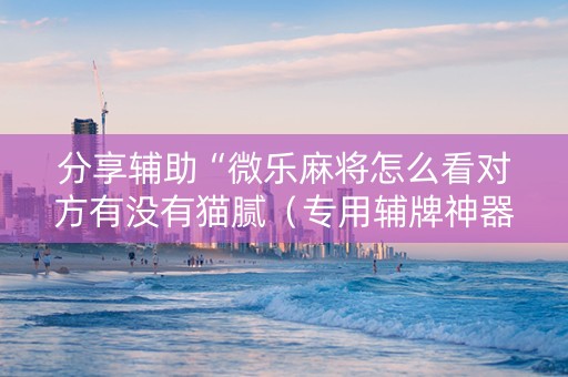 分享辅助“微乐麻将怎么看对方有没有猫腻（专用辅牌神器免安装）