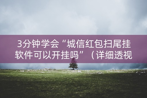 3分钟学会“城信红包扫尾挂软件可以开挂吗”（详细透视教程）-哔哩哔哩