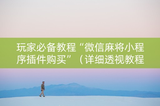 玩家必备教程“微信麻将小程序插件购买”（详细透视教程）-哔哩哔哩