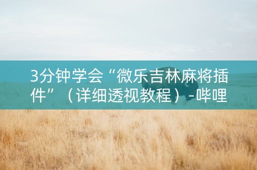 3分钟学会“微乐吉林麻将插件”（详细透视教程）-哔哩哔哩