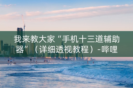 我来教大家“手机十三道辅助器”（详细透视教程）-哔哩哔哩