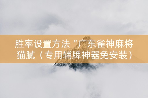 胜率设置方法“广东雀神麻将猫腻（专用辅牌神器免安装）