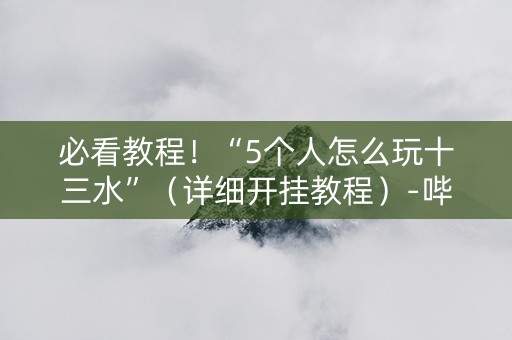 必看教程！“5个人怎么玩十三水”（详细开挂教程）-哔哩哔哩